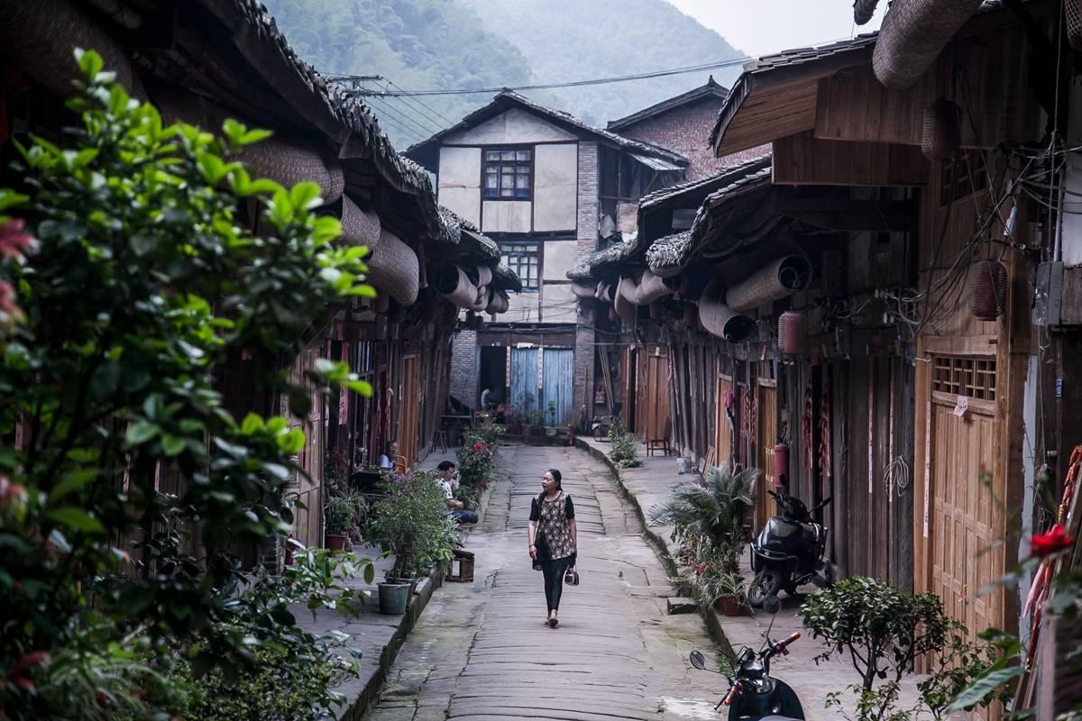 逃离绿色山谷
